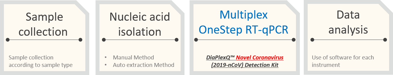 workflow.png