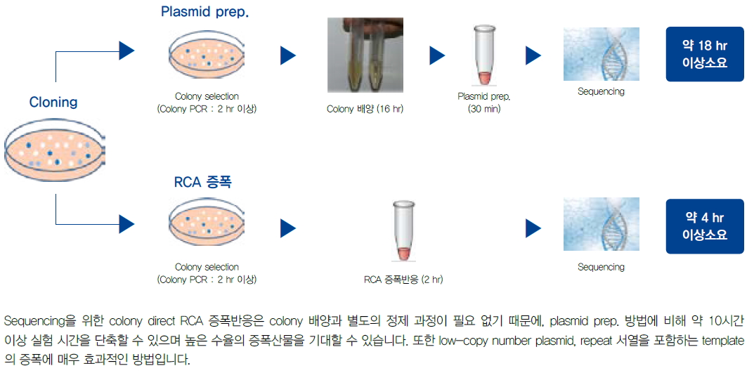 pro_1_1_4_0202.jpg