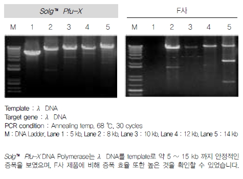 pro_1_1_1_1002.jpg